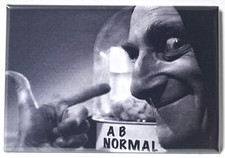 Young Frankenstein MAGNET 2