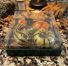Vintage Pumpkin & Gourd Autumn Fall Candle Set Of 5 picture