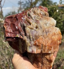 ☘️RR⛏️: Top Quality Druzy Pockets Arizona Rainbow Petrified Wood 4.25 Lb 🌈 picture