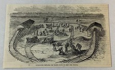 1878 magazine engraving ~ SPREADING BACASSA TO DRY Sugar Estate in Cuba picture