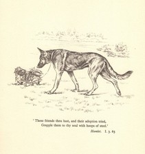Vintage German Shepherd & Pekingese Print Shakespeare Hamlet Quote 6975p picture