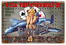 A-10A THUNDERBOLT II WW2 PLANE PINUP GIRL 18