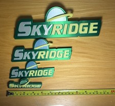 Pokemon Skyridge Fan Art Sign Made To Order picture