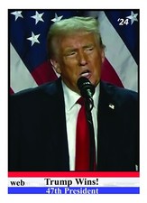 Trump Wins 2024 Political Trading Card - 47th President picture