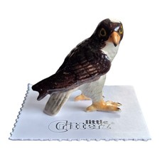 LITTLE CRITTERZ Bird Peregrine Falcon