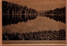 Vintage Lake Forest Reflection Riddle Postcard Sepia Tone Unposted picture