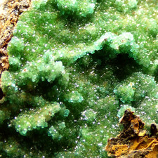 Cuprian Adamite Crystals Hilarion Mine Lvl 3 Lavrion Attica Greece Specimen 6cm picture