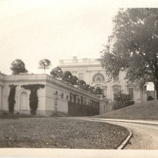 c1910s White House East Terrace Potted Bay Trees Washington, DC 4