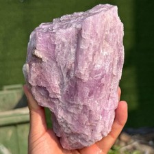 3.21LB Natural Raw Kunzite Rough Quartz Crystal Mineral Specimen(UV Reaction) picture