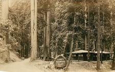 RPPC Postcard Lane's Redwood Flat Cabins Mendocino County Patterson Photo L6 picture
