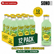 Calypso Kiwi Lemonade 16 Fl Oz, 12 Pack Glass Bottles picture