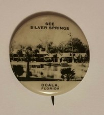 Vintage 1930s Silver Springs Florida Souvenir Pin picture
