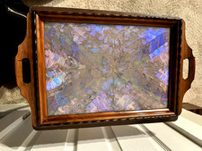 Vintage Blue Real Butterfly Wing - Iridescent Morpho Brazilian Large Tray picture