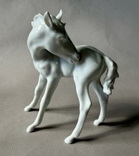 KAISER West Germany White Porcelain 5 7/8 inch FOAL HORSE FIGURINE picture