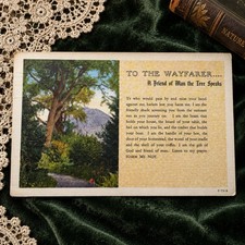 1946 Wayfarer Friend of Man Tree Poem Linen Postcard Waldoboro Maine Vtg Poetry picture