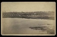 1800s Boudoir Photo Birds Eye Landscape View Palatka Ocala Ft Augustine Florida picture
