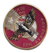 Mexican Patch Parche Escuela Militar Aviacion Avanzado Embroidered Mexico 10cm picture