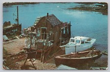 Vintage Typical Maine Fishing Shack Postcard Fisherman's Paradise picture