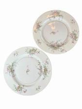 VTG Theodore Haviland NY Apple Blossom 10 1/8” Gold Rimmed Dinner Plates Set 2 picture