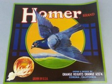 10 Pc Original Vintage Dead Stock HOMER Sunkist Oranges Fruit Crate Paper Label  picture