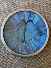 Vintage Brazilian Blue Morpho Butterfly Wing 3.5” Art Wall Hanging Decor Plate picture