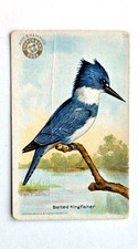 1918 J6 #26 Belted Kingfisher, Useful Birds of America 2nd Series Large picture