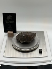 Sericho  - Pallasite - 447g  - Meteorite Whole picture