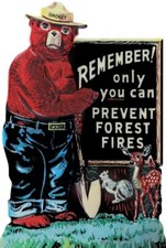 Smokey the Bear Only You Can Prevent Fires NEW Sign: 28