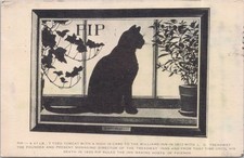PIP the 7-Toed Cat Williams Inn North Adams MA Postcard 1954 picture