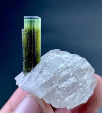 55 Carat Green Cap Tourmaline Crystal Specimen On Quartz From Afghanistan picture