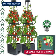 2 Pack Raised Garden Bed Planter Box with Trellis, 58” Tomato Cage Planter Raise picture