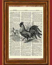 Rooster Dictionary Art Print Book Page Picture Poster Vintage Kitchen Wall Decor picture