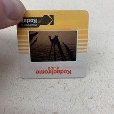 Vintage Travel 35mm Slide Photo Camel Desert Sand Shadow 1985 Kodak picture