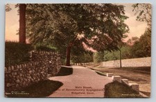 Main Street Ridgefield CT Revolutionary Site Hand-Colored Albertype Postcard picture