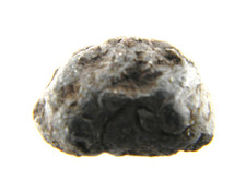 Chelyabinsk LL5 Chondrite Meteorite Chelyabinskaya oblast’, Russia 2.58 Grams picture
