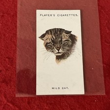 1931 Player’s “Wild Animals’ Heads” THE WILD CAT Tobacco Card #12  EX picture