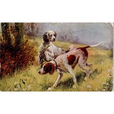 Two Bird Dog Hunting Pointers Illustration c1908 Postcard PD2 picture