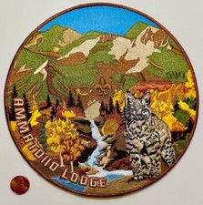 BOY SCOUT AMMATDIIO 590 CROSSROADS WEST 2022 FALL LYNX 8
