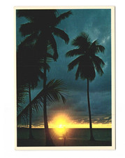 Florida sunset Vintage postcard Unposted picture