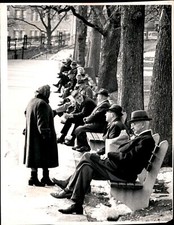 LD355 1964 Original UPI Photo BALMY DAY IN BOSTON COMMON PARK BENCHES FULL picture