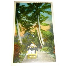 Vintage 1923 Florida Postcard Solid Comfort Rickshaw Gainesville FL White Border picture