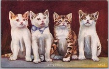 Vintage 1910 CAT Greetings Postcard 