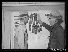 Photo:Osage Farms Missouri 1939 Men Livestock Fair Prize Ribbons picture