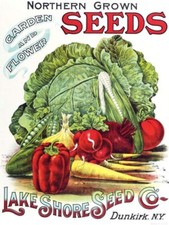 Lake Shore Seeds of Dunkirk, New York NEW METAL SIGN: 12x16
