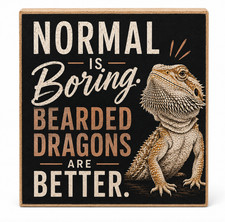 Bearded Dragon Sign and Gift picture