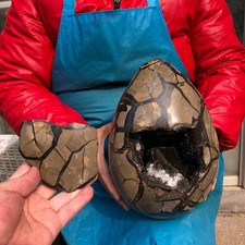 18.5LB Natural Turtle Back Stone Hole Shape Dragon Crystal Crack Reiki Healing picture