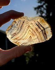 Linus Pauling Collection: Banded Montana Moss Agate Slab, 49.53g Lapidary Slice picture