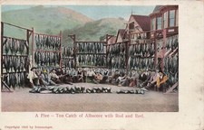 Avalon Santa Catalina Island California Albacore Fishing Harbor Vtg Postcard H39 picture