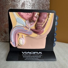 Vintage Viagra Detrol LA s Anatomy Model Pfizer Informational Pull Out Cards picture