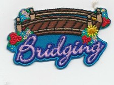 Boy Girl Cub blue BRIDGING Ceremony Fun Patches Crests Badges GUIDES SCOUT picture